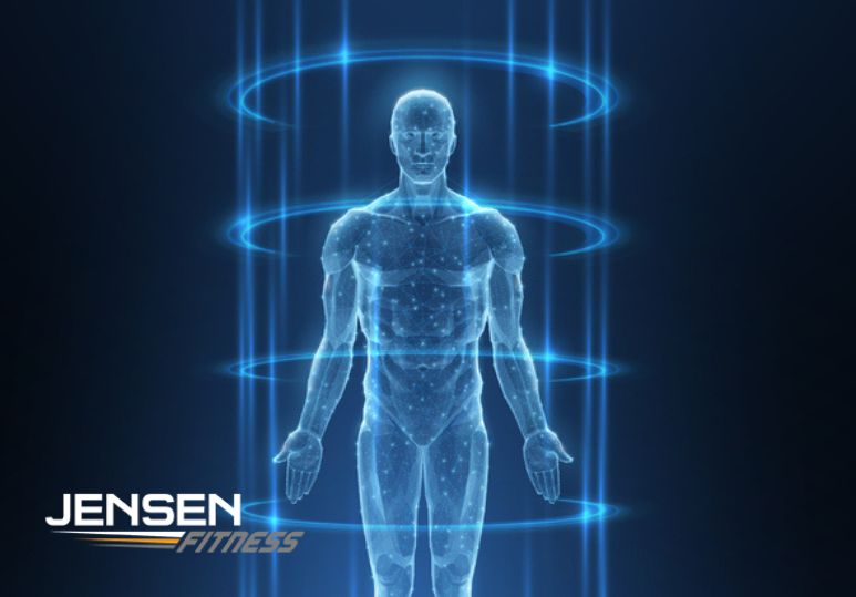 How Fit 3D Body Scanning Can Revolutionize Your Fitness Journey